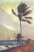Winslow Homer Palm Tree, Nassau oil painting artist